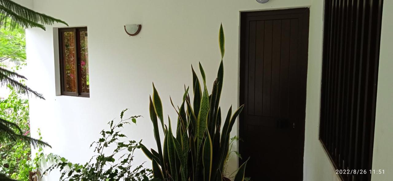 Damontanha 2 Daire Ribeira Grande Dış mekan fotoğraf